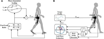 Evaluation of controllers for augmentative hip exoskeletons and their effects on metabolic cost of walking: explicit versus implicit synchronization